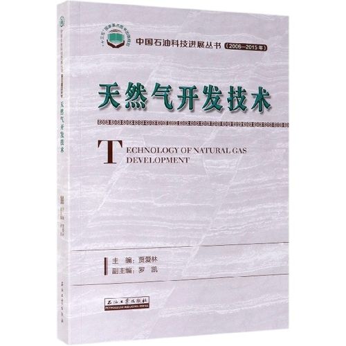 天然气开发技术(2006-2015年)/中国石油科技进展丛书 博库网